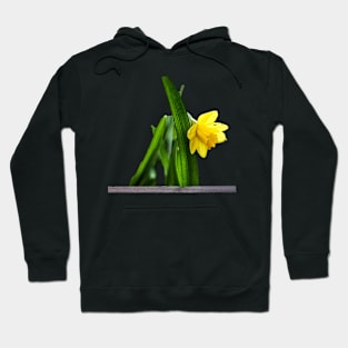 flower Hoodie